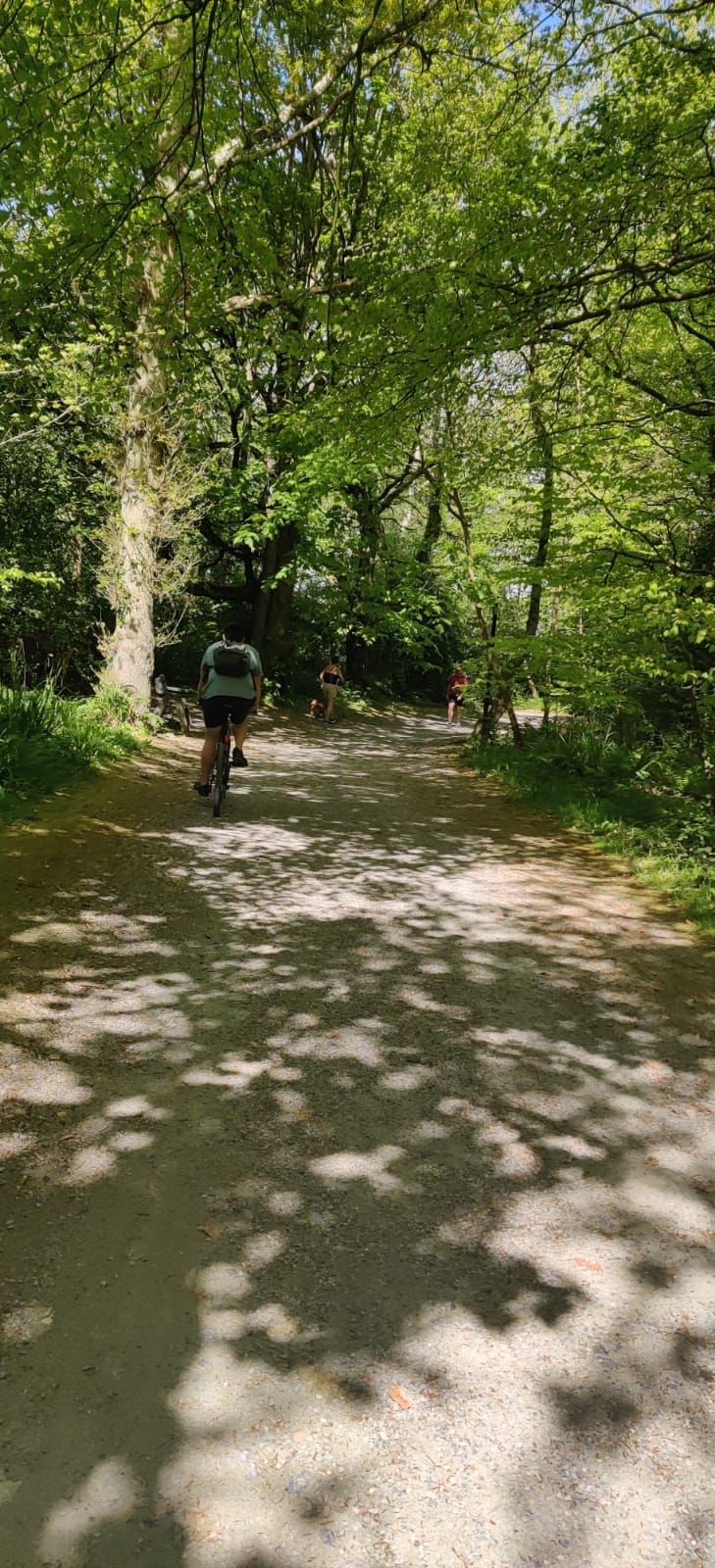 A ma cycles a blue mountain bike through a woodland trail of Ardgillan Castle.